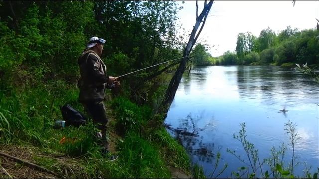 ✅📥 Видео с Ютюб. Ловля Сороги.