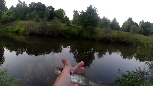 ГОЛАВЛЬ ловится на СУПЕР СНАСТЬ на ТОП НАЖИВКУ