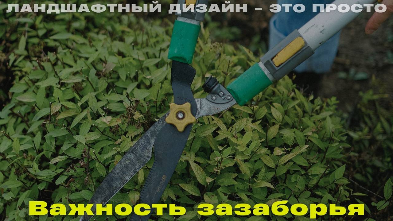 Важность Зазаборья. Ландшафтный дизайн – это просто!