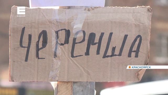 Свежая, пахучая черемша появилась на рынках страны! Вкусно!