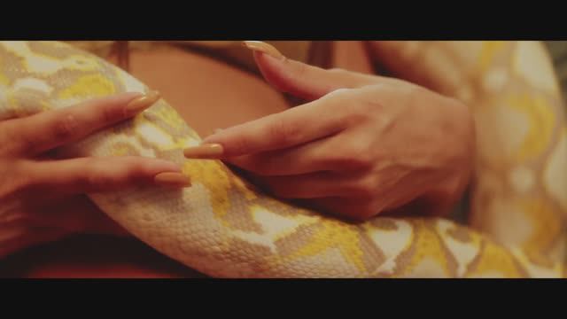 Askprojekt - Return to the old ruins