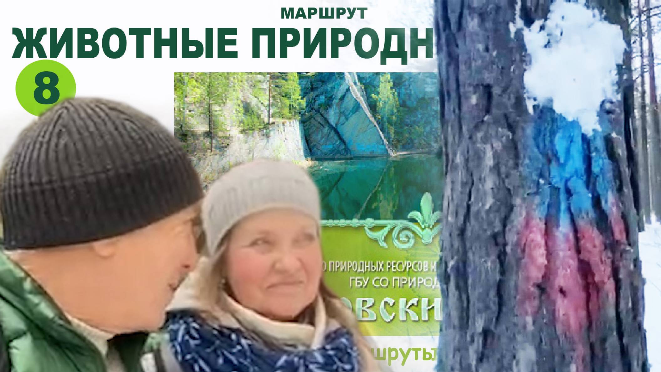 Сысерть. Путешественники.