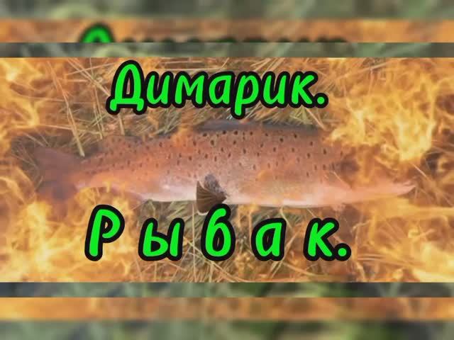 Любимая Рыбалочка! 
Довольно неплохой улов!