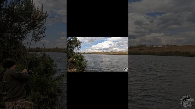 Карпфишинг. Денис приехал и сразу взялся за дело