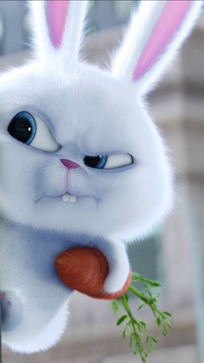 Знакомства кролика и Евы