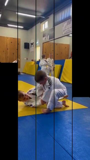 экзамен по дзюдо и киокушинкай каратэ