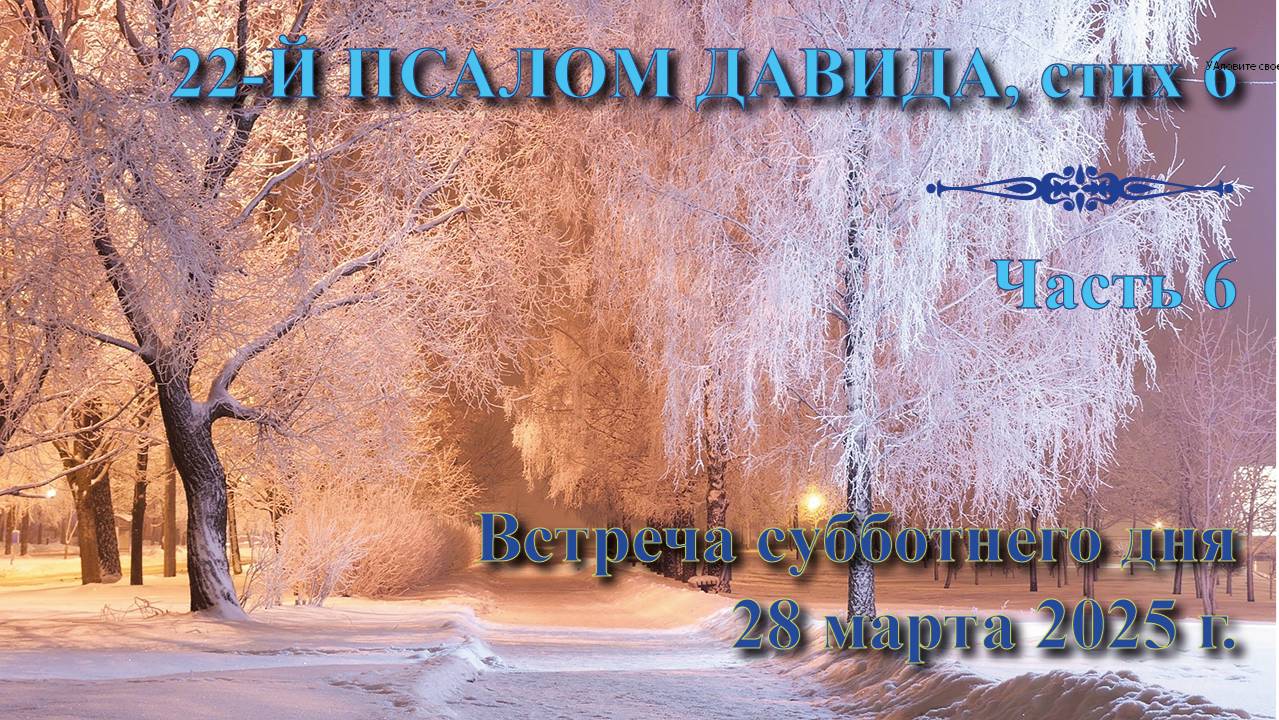 28.03.2025. Встреча субботы: пастор Владимир Вачев. Встреча 6. 22-й псалом Давида, стих 6.