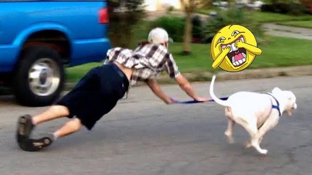 Эпические смешные моменты, которые вас рассмешат! 🤪