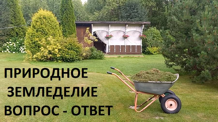 Природное земледелие. Вопрос-ответ.