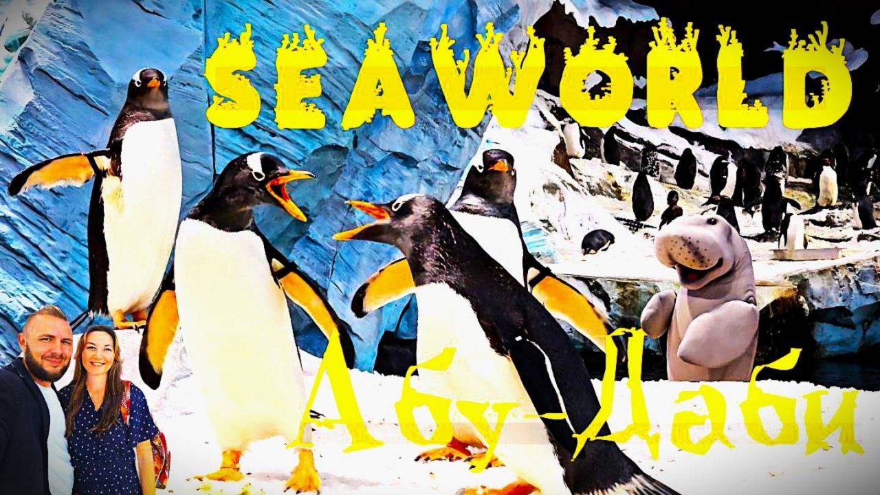 Парк-ГИГАНТ SeaWorld в Абу-Даби! Мы в ШОКЕ! Полный обзор и цены. Посещать ли? Эмоции зашкаливают!
