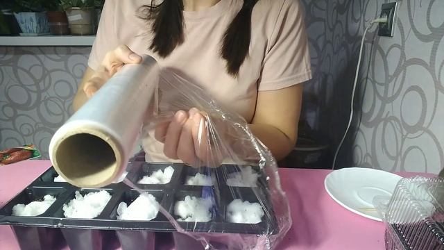 Как посадить клубнику (землянику) семенами