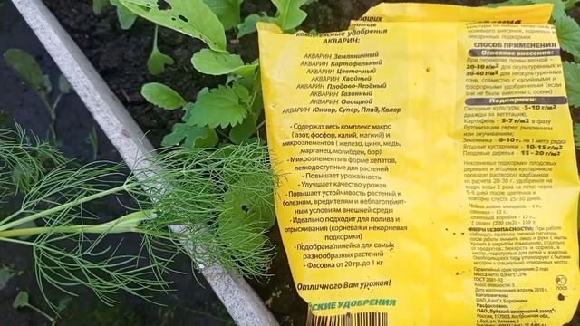 Желтеет перец. Чем подкормить. Скорая помощь