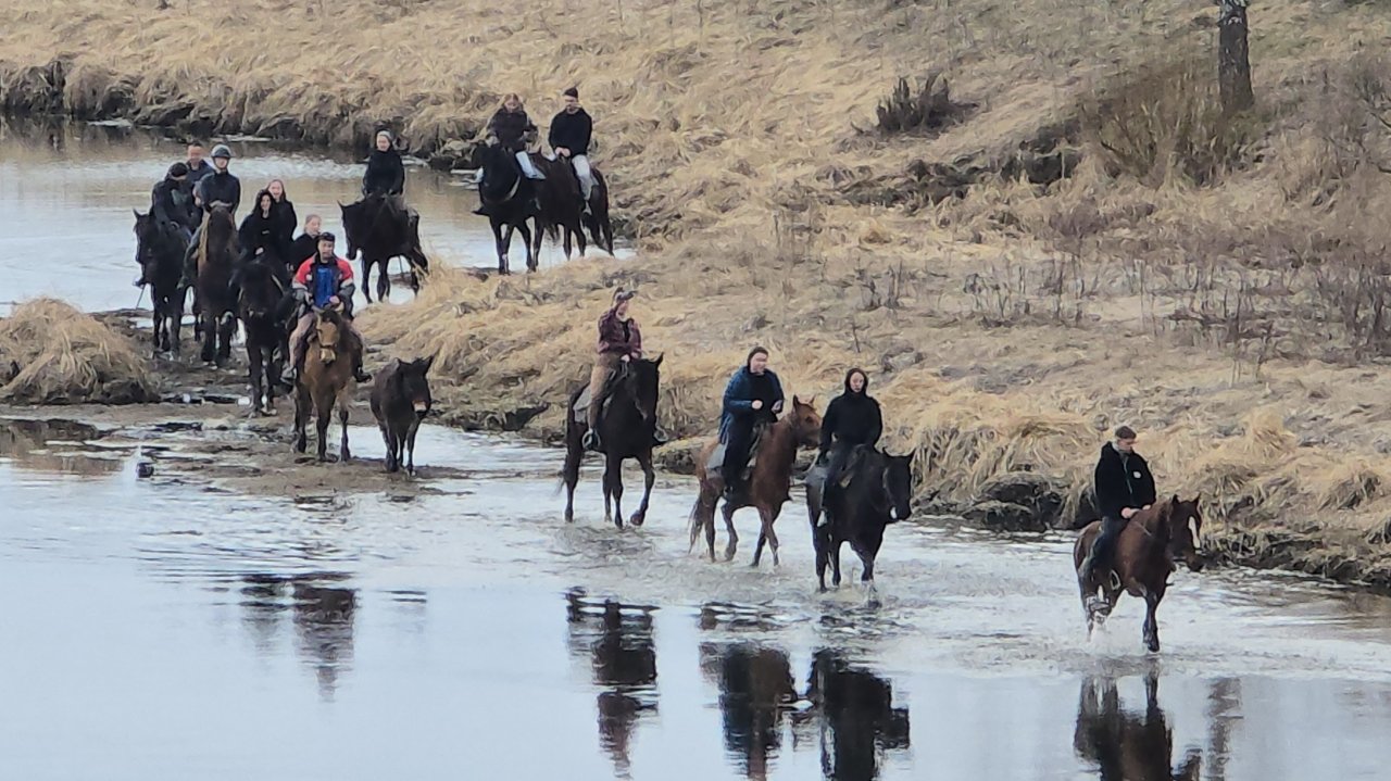 На реке с лайками и щенком