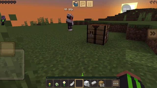 выживаем в Майнкрафте с мр ёриком