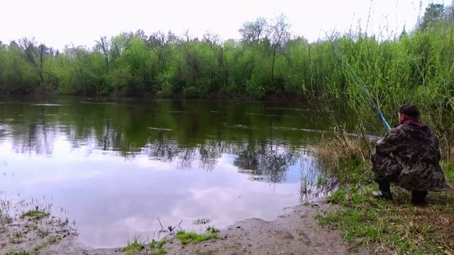 ✅📥Видео с Ютюб. Рыбалка для души. Вода в реке поднимается.