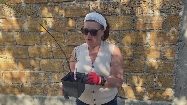 С чего начинался наш участок в Крыму Часть 1