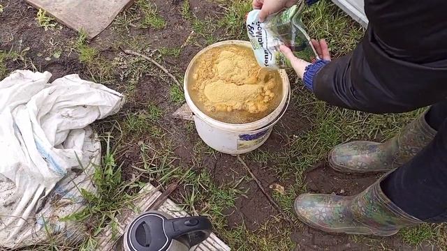 Чем и как я мою теплицу весной