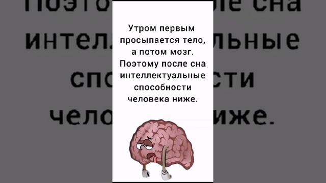 ЧТО ЕСТ(Ь)НАШ МОЗГ? 1000044766.mp4