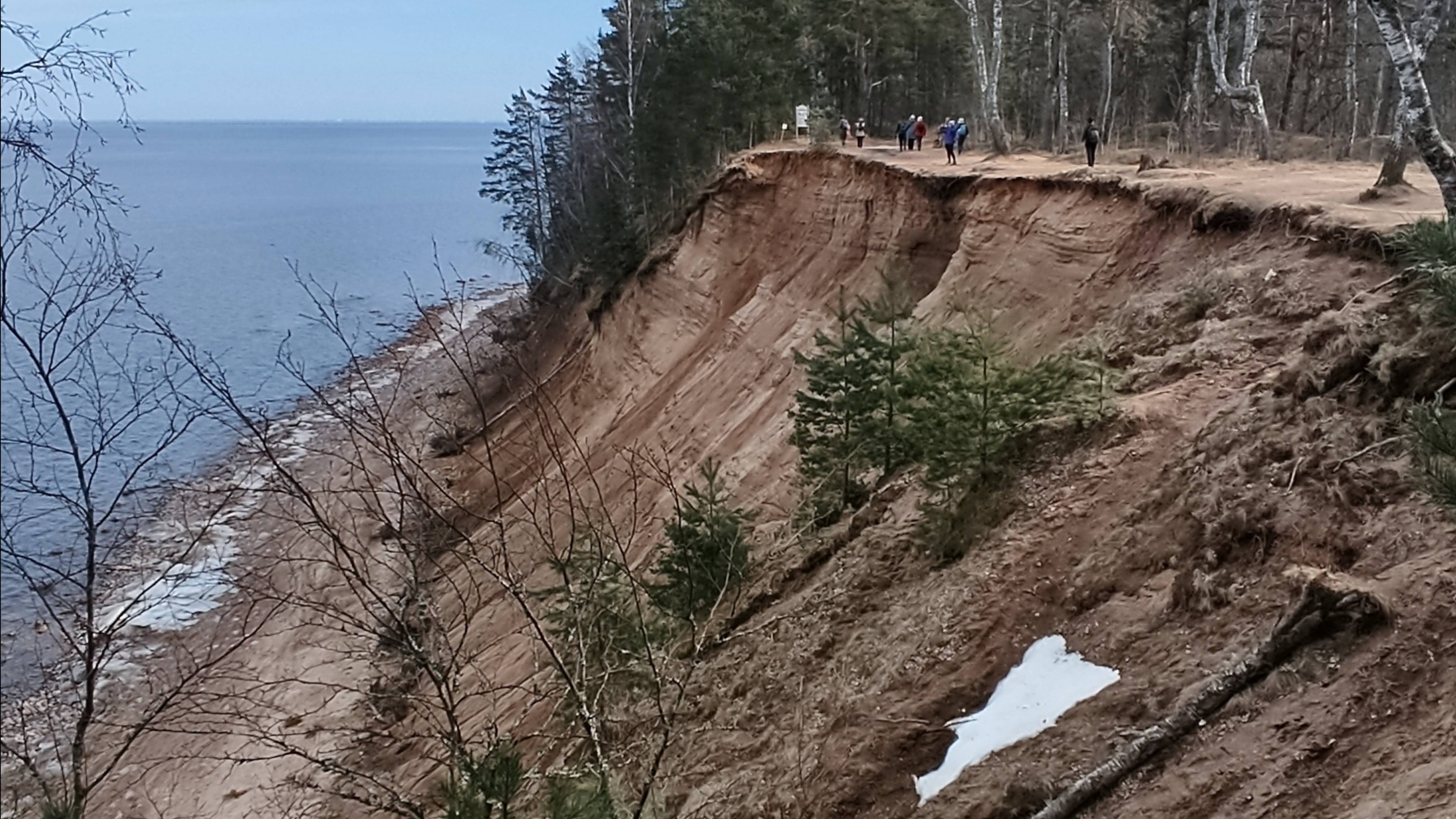 Часть тропы Южного берега Финского залива, п. Лебяжье
