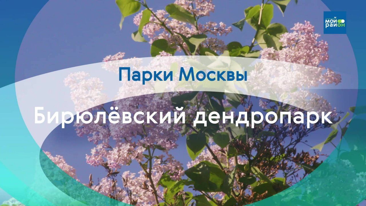 Парки Москвы: Гуляем по Бирюлёвскому дендропарку