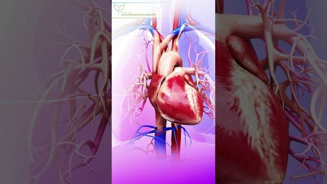 Как осанка влияет на здоровье