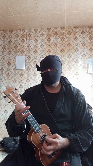 Very Nordic Ninja: Goose (31.03.2025) Крайне Северный Ниндзя: Гусь #VeryNordicNinjaUkuleleRiffArts