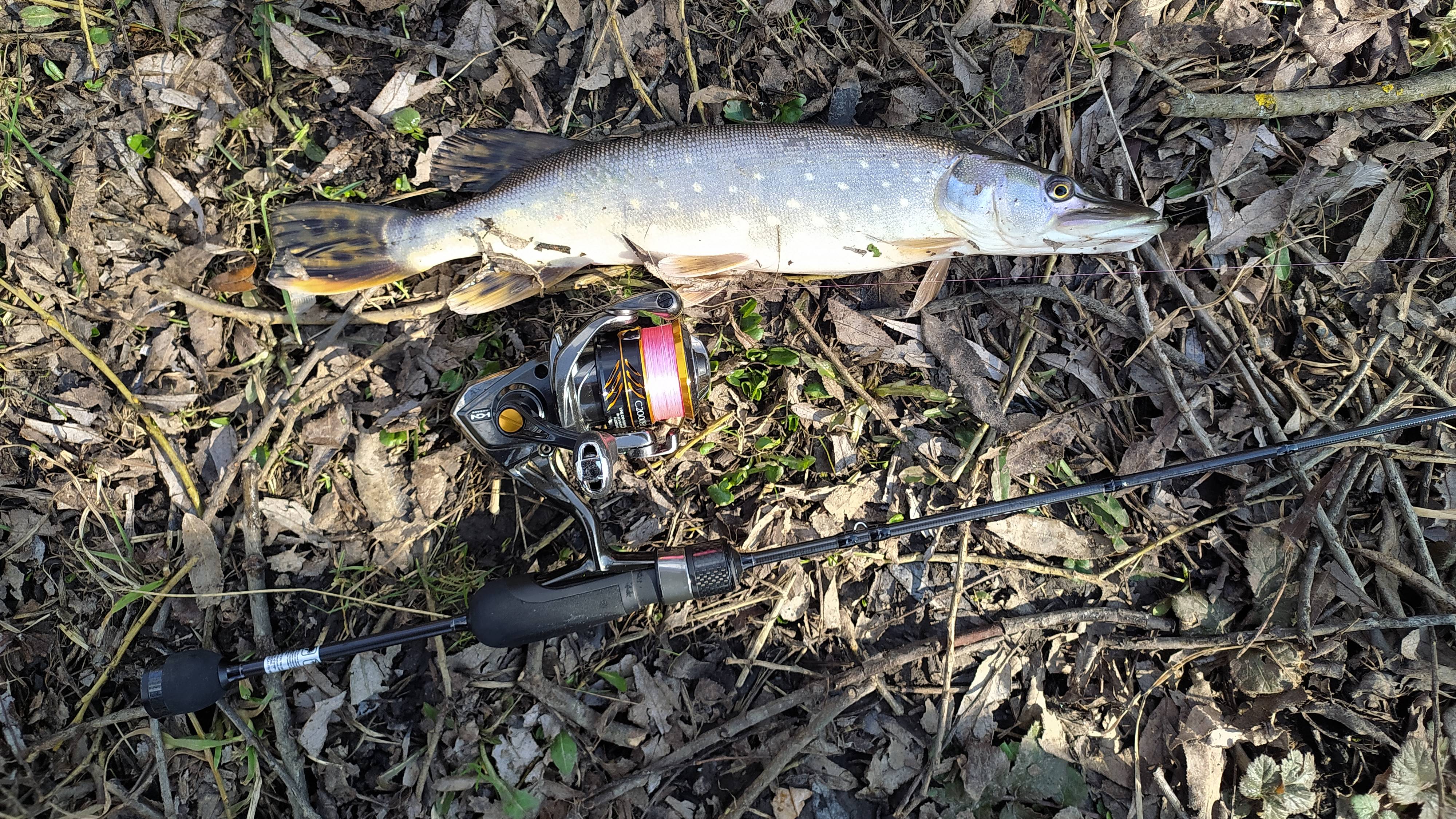 Домашняя речушка 29 марта 2025 года, микро-джиг