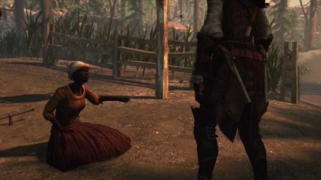 Assassin's Creed 4 Black Flag DLC Авелина Проникновение в Лагерь Повстанцев #1