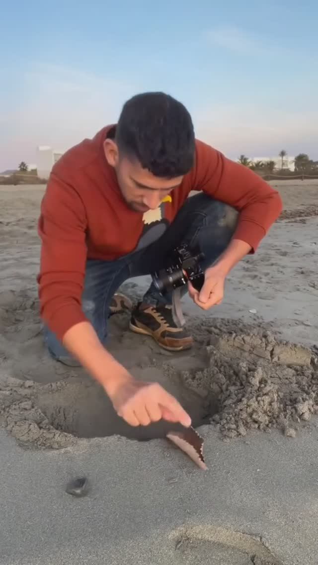 Как правильно сделать фото