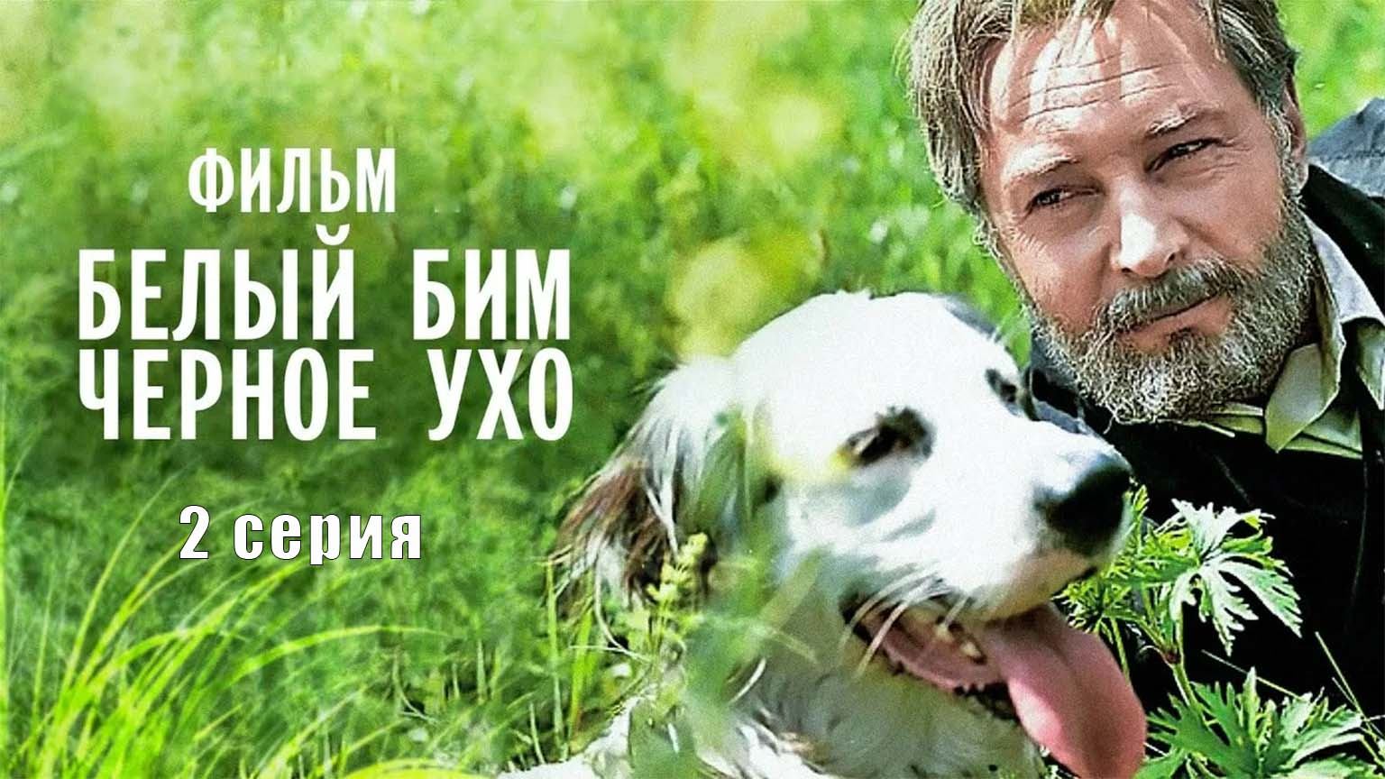 Белый Бим Черное Ухо (1976), 2 серия