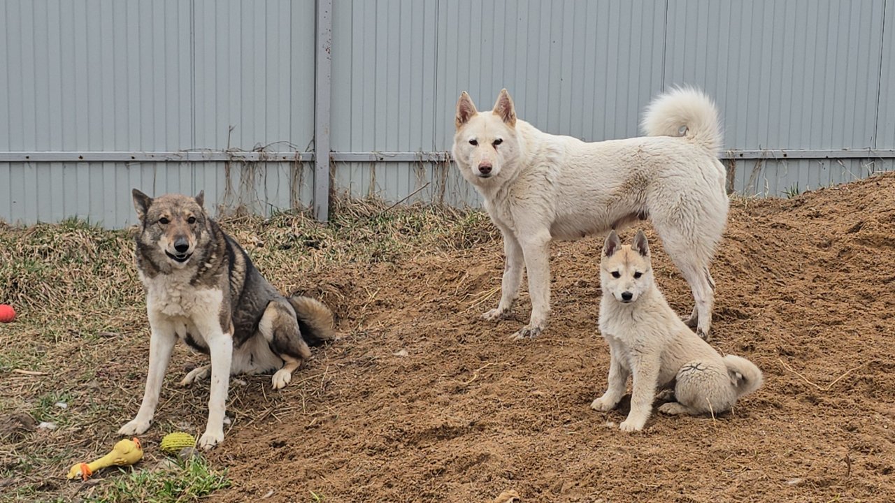 Между дождями