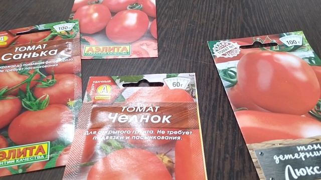 Сею низкорослые помидоры на рассаду