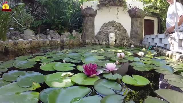 Судак Крым. Частный сектор. Райское местечко, где мы остановились