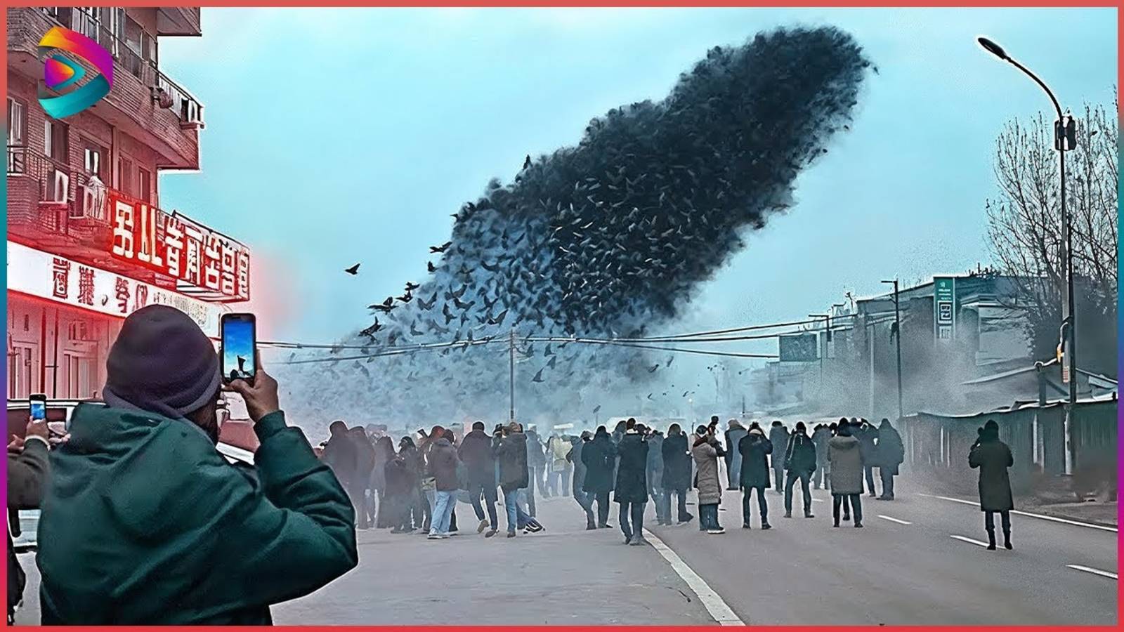 природа непредсказуема