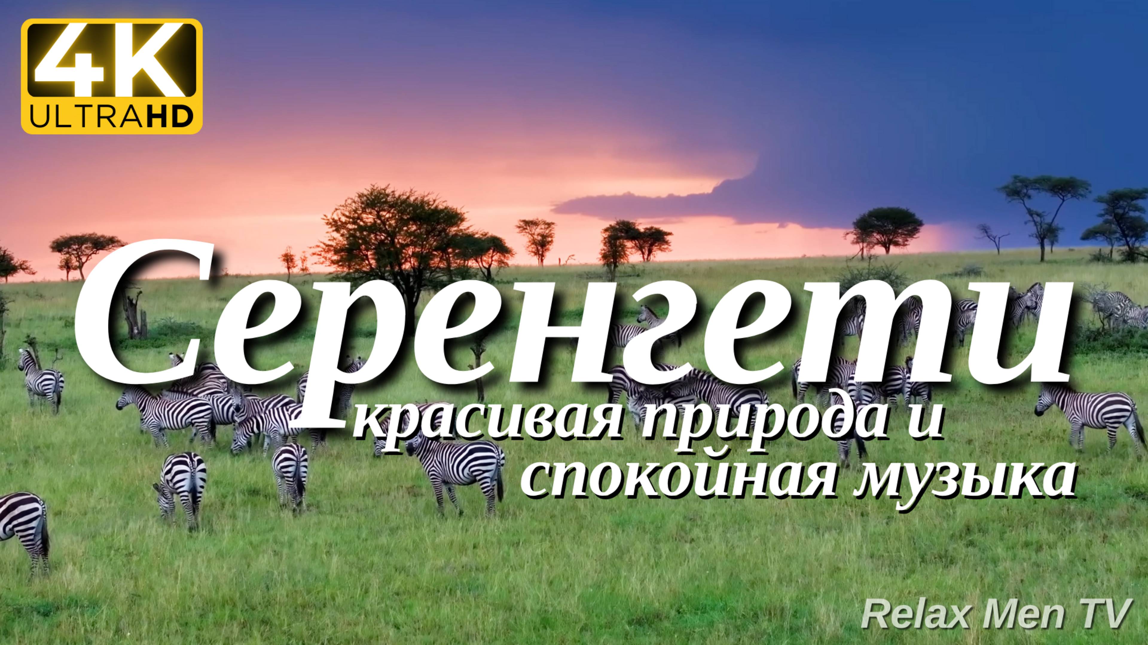 4К Серенгети - Красивая природа и спокойная музыка которая подойдет для отдыха, медитации и сна