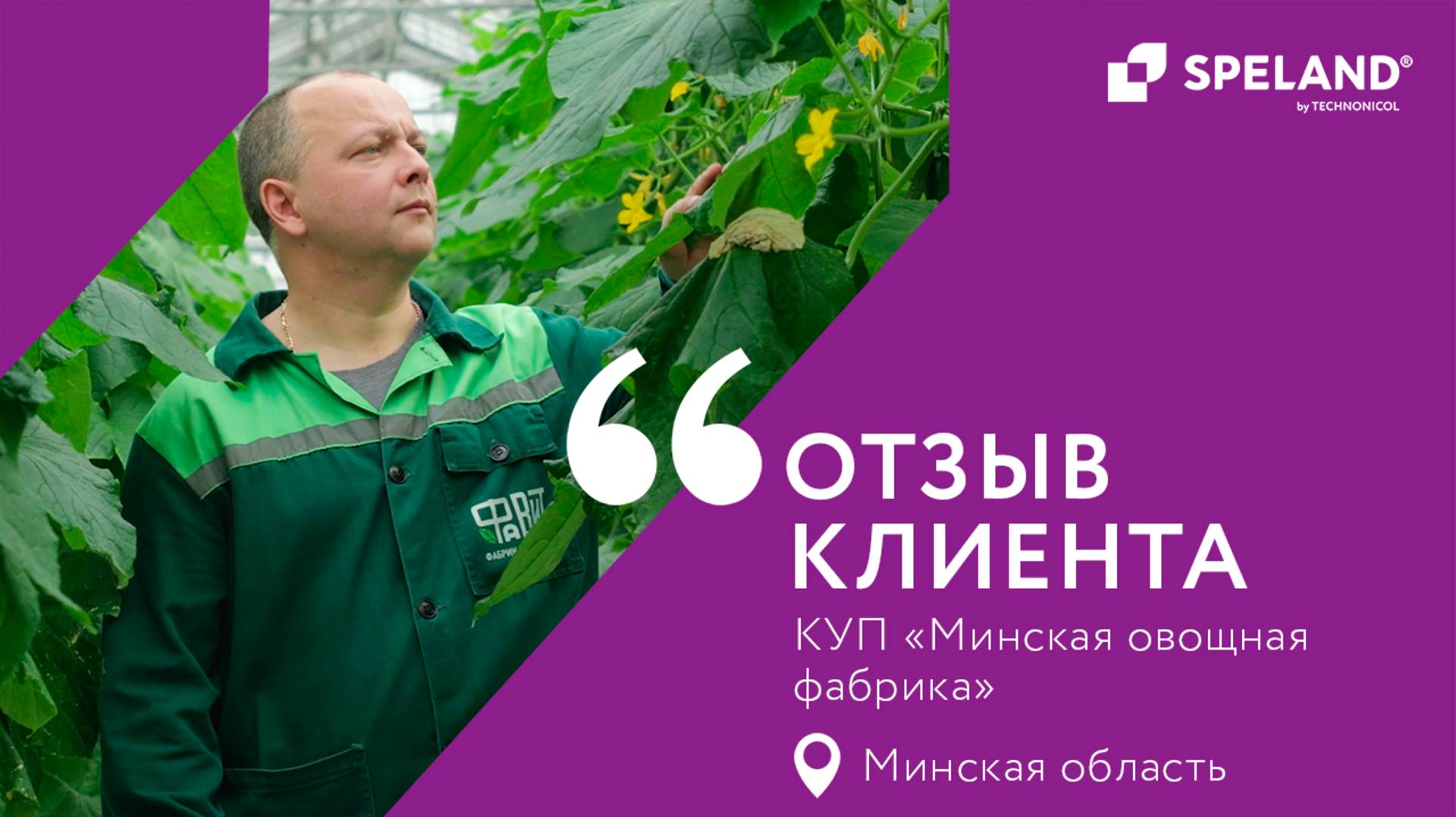 SPELAND. Отзыв клиента. ТК «Минская овощная фабрика» в Минской области