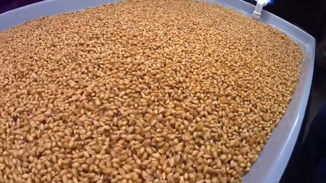 "Как выращивать" VLOG №1