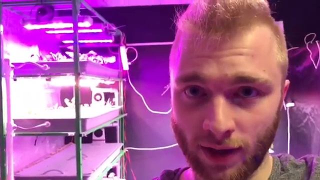 Контроллер автоматической теплицы будущего - Бионика