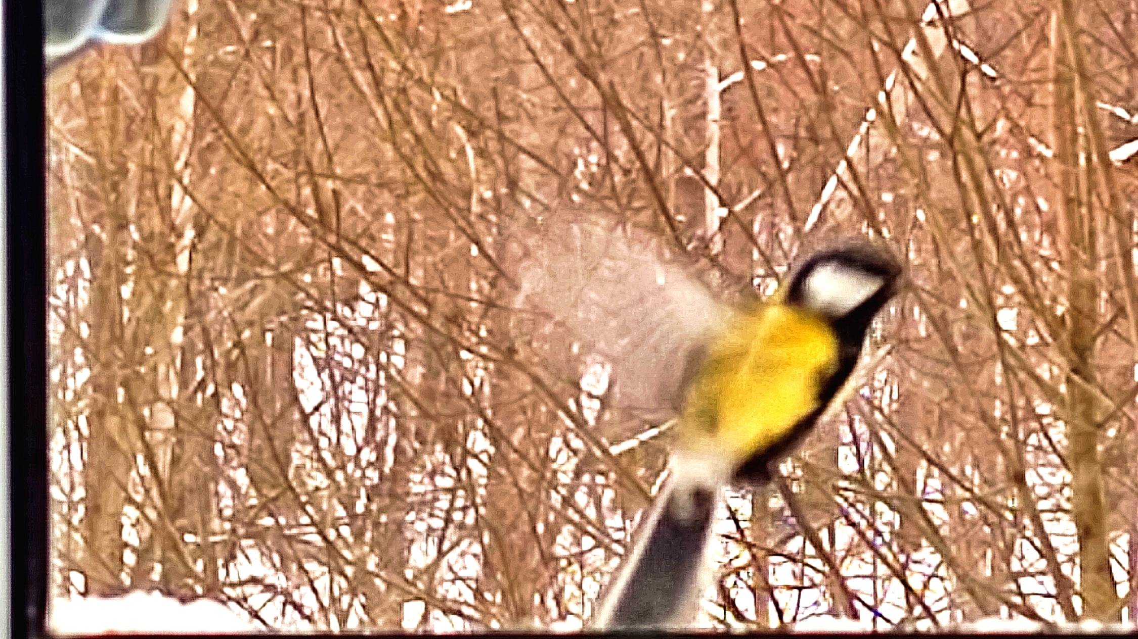 Мелодии весны Стали каждому слышны В тихих рощах и в садах, На полянах и в лесах. Позаботился Апрель