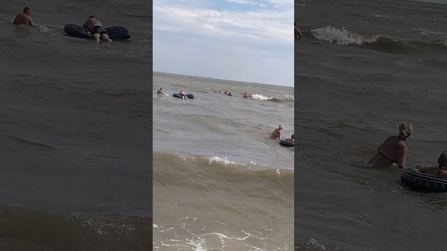 Много купающихся спешит приехать летом на берег Азовского моря в станицу Голубицкая