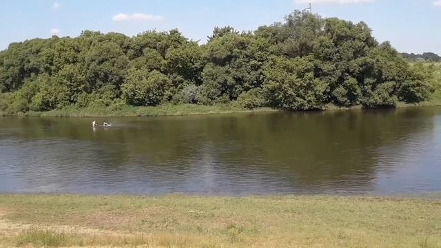 24 км. от Москвы, Горки 10.