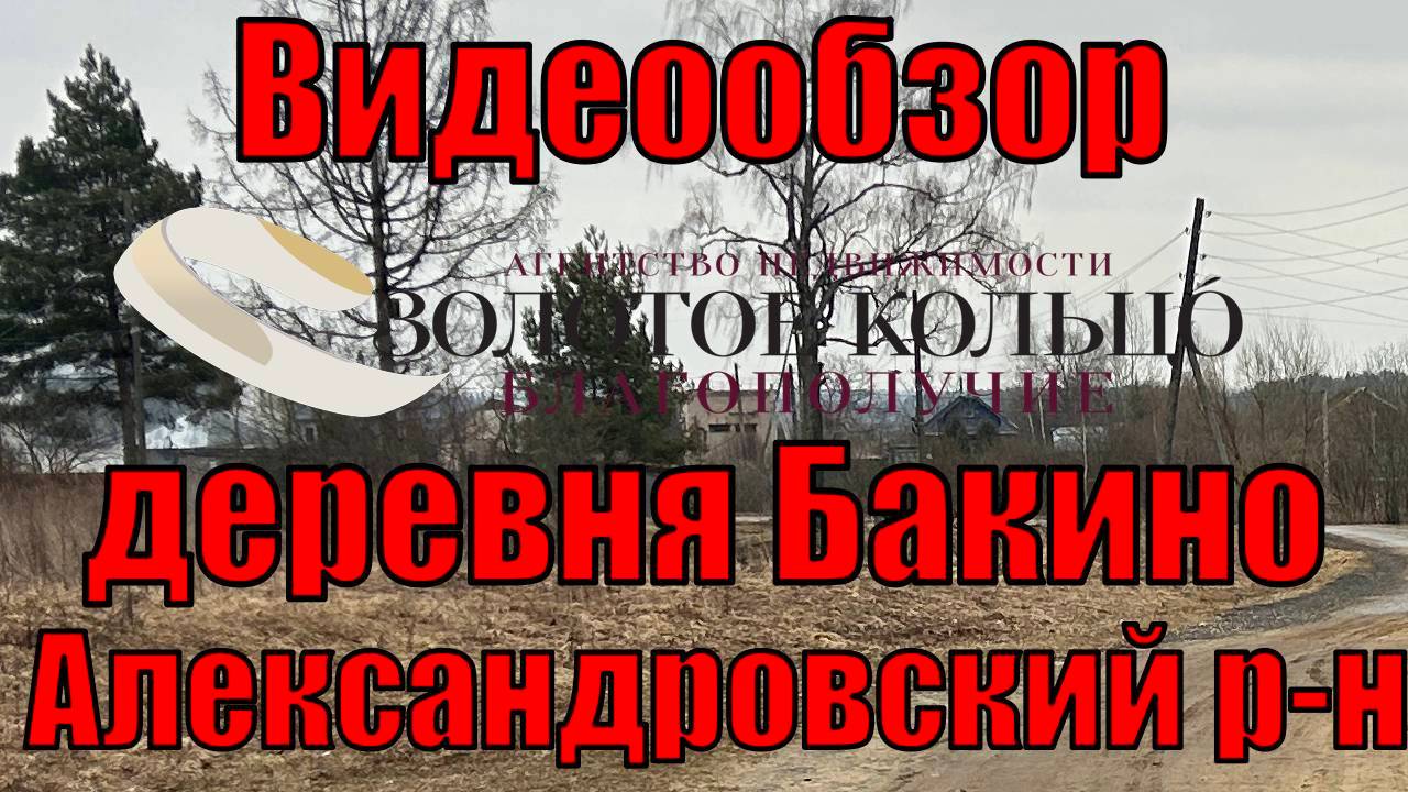 Большая, газифицированная деревня Бакино, Александровский район, Владимирская область