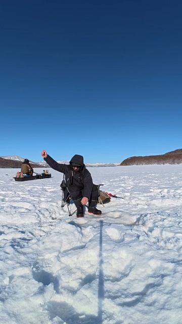 Корюшка, ловля за 60 секунд! ❄️🎣