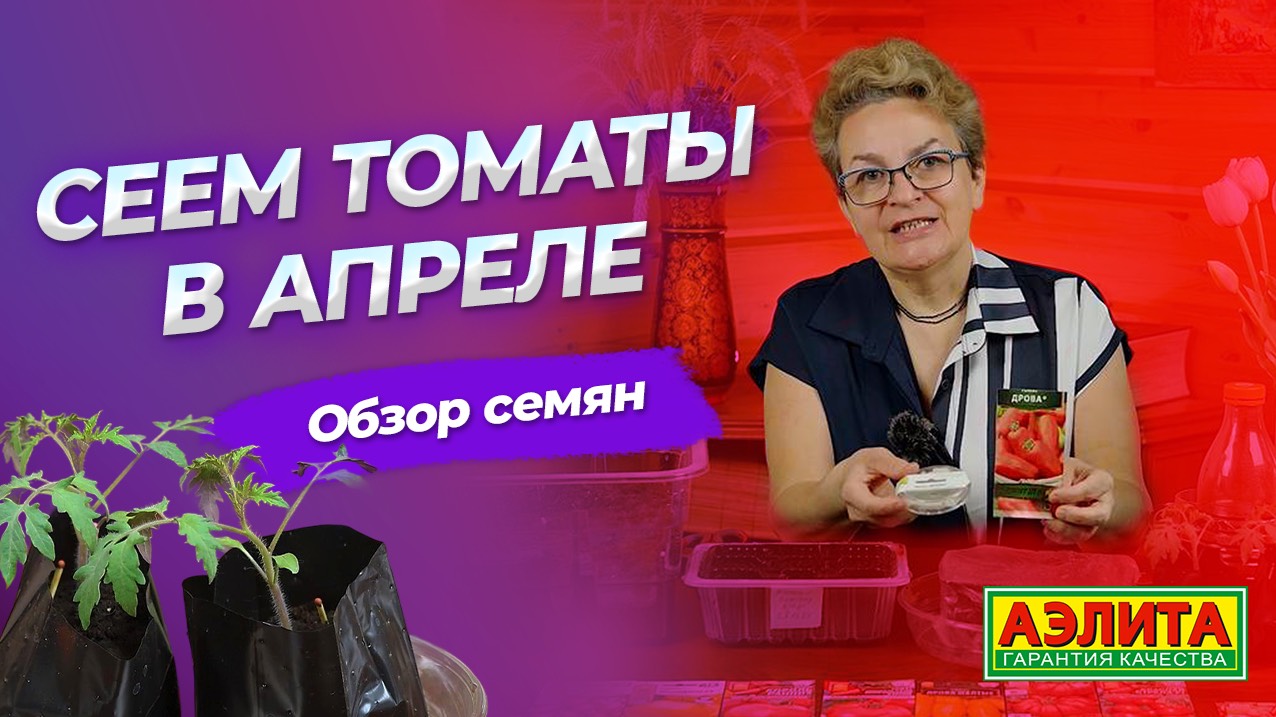 ПОСЕВ ТОМАТОВ В АПРЕЛЕ - НЕ ПОЗДНО! Обзор семян томатов со сроком созревания менее 100 дней!