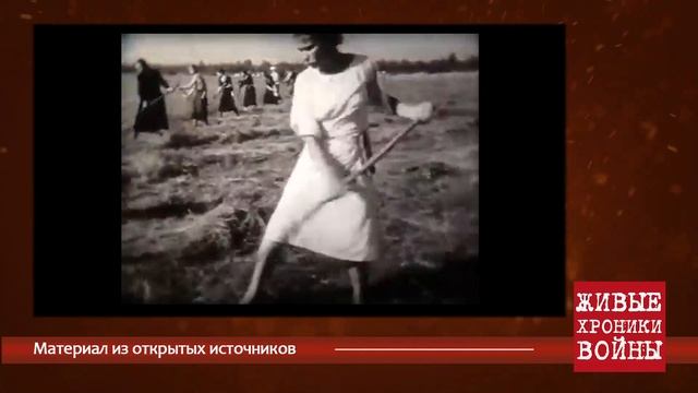 Живые хроники войны. Сибгатова Минсылу Хафизовна