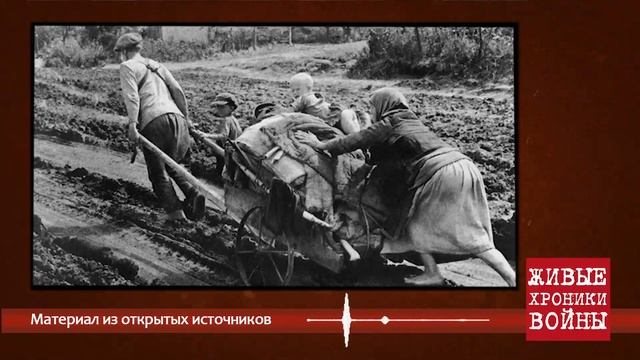 Живые хроники войны. Рохлина Зинаида Ильинична