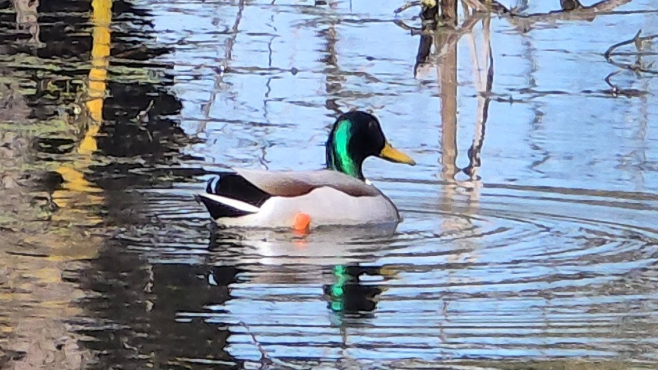 Разведка по реке и озеру