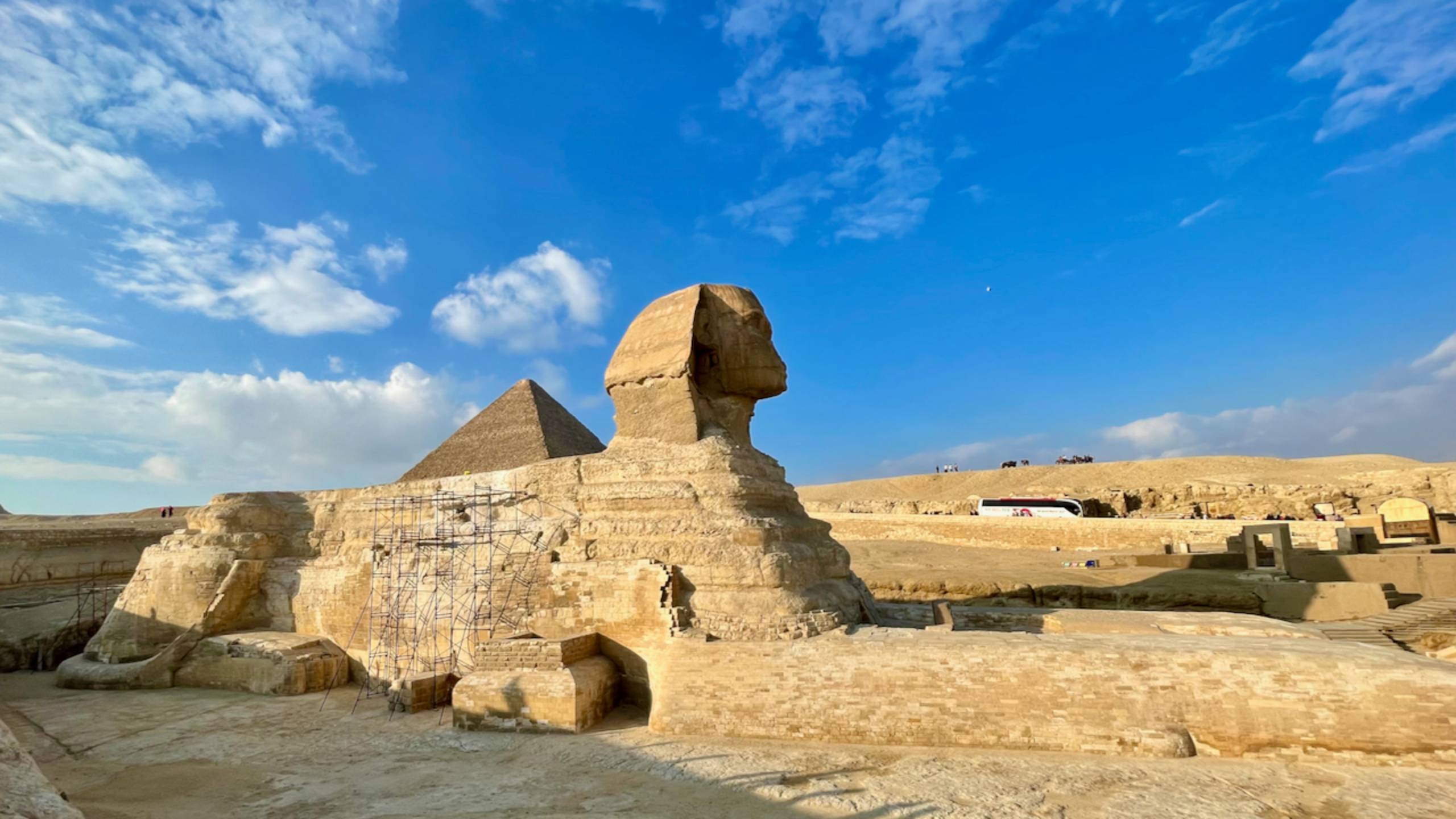 Показываю, как сейчас выглядит великий сфинкс Гизы