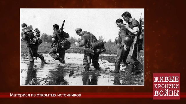 Живые хроники войны. Соколова Лидия Александровна