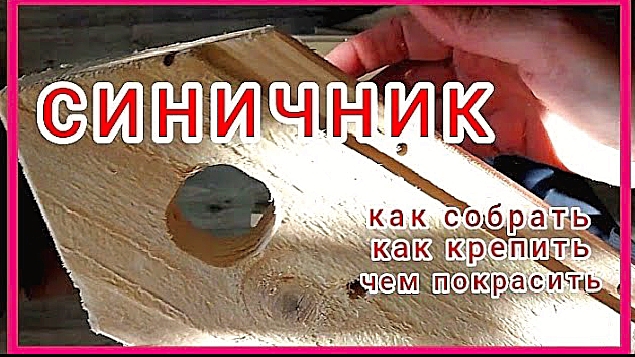 Синичик.Экология моего сада